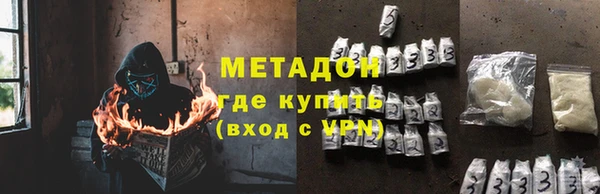 прущие грибы Михайлов