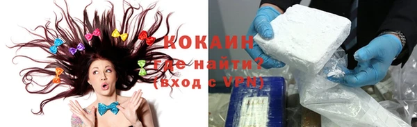 прущие грибы Михайлов