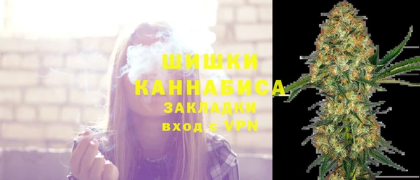 прущие грибы Михайлов