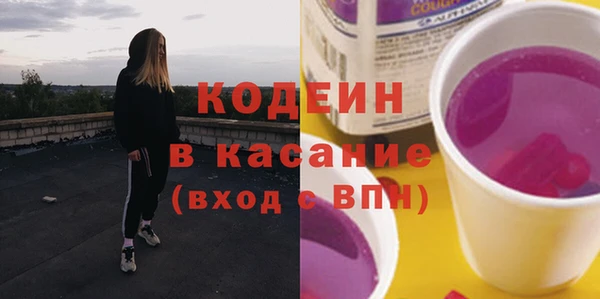 прущие грибы Михайлов