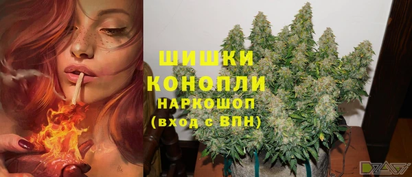 прущие грибы Михайлов