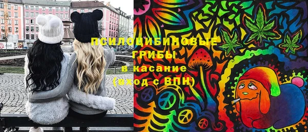 прущие грибы Михайлов