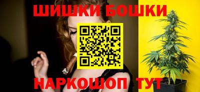 крисы Будённовск