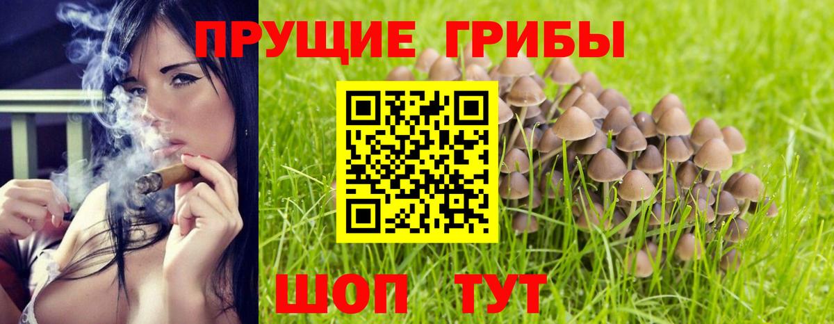 Псилоцибиновые грибы прущие грибы Ефремов