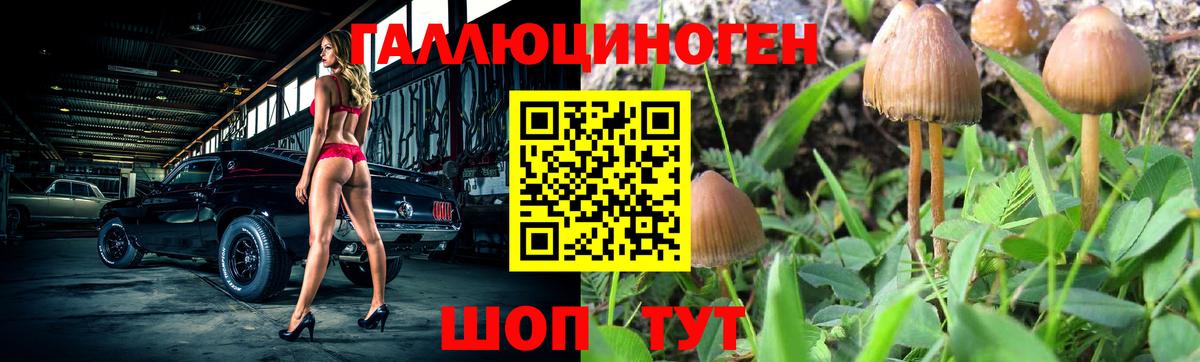 Галлюциногенные грибы ЛСД  Галлюциногенные грибы MAGIC MUSHROOMS  Ефремов 