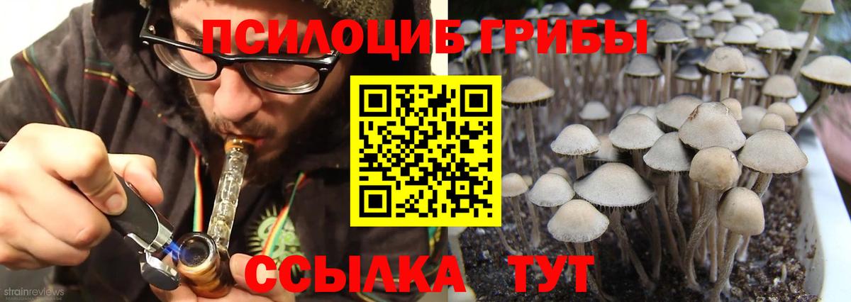 Псилоцибиновые грибы мухоморы  Вход с VPN  Ефремов 